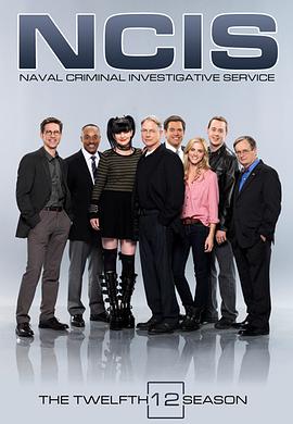 海军罪案调查处 第十二季 第20集